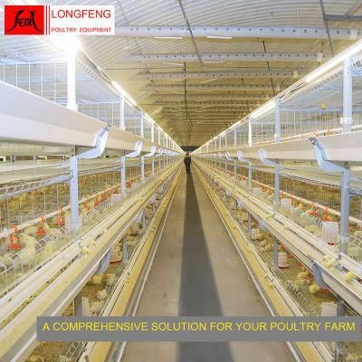 Professional Large Scale Poultry Farming Farm Equipment Broiler Chicken Cage