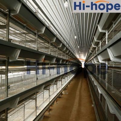 Factory Direct Hot Sale Chicken Equipment Poultry Cages for Layer Chickens