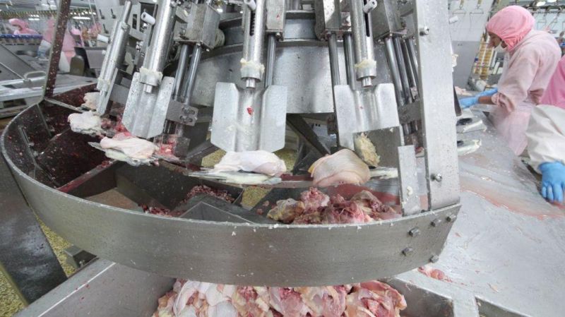 Chicken Thigh Debone / Chicken Thigh Debone Machine