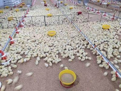 High Quality Automatic Poultry Feeder Broiler Drinker Broiler Feeding Pan for Sale