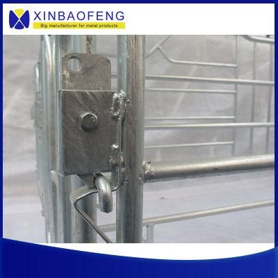 Galvanized Pig Gestation Pen / Pig Gestation Crate Sow