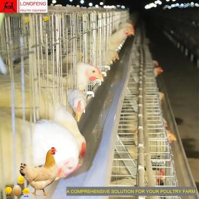 New Longfeng China a Type Farm Layer Cages Poultry Equipment Battery Chicken Cage Manufacture