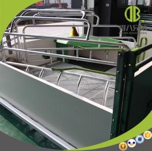 Pipeline Pigging Equipment Stainless Steel Open Farrowing Crate Poultry Equipment Pig Use