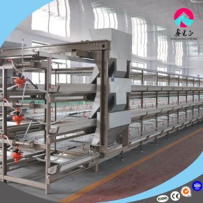 Factory High Quality Design Layer Chicken Farming Battery Equipment