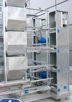 Type a and Type H Chicken Cage Poultry Raising Equipment