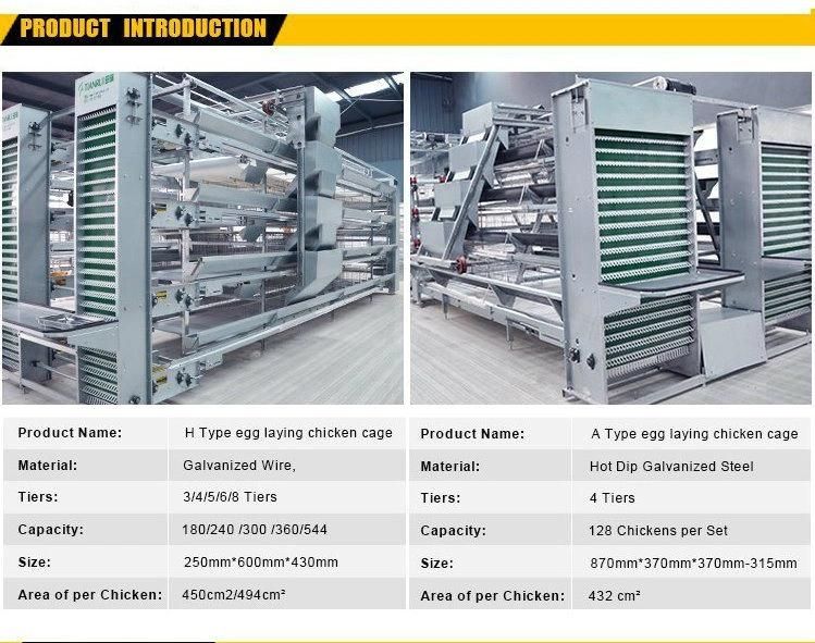 a-Type Layer Chicken Cage with Automatic Machine System