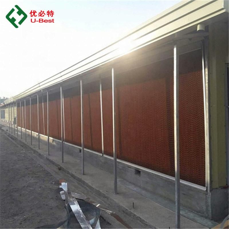 Farm Equipment Goat Poultry Chicken Plastic Slat Floor for Sale