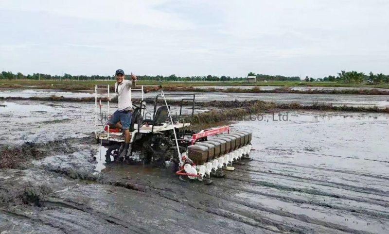 8 Rows and 10 Rows Rice Seeder Planting Machine with Automatic Control Microcomputer