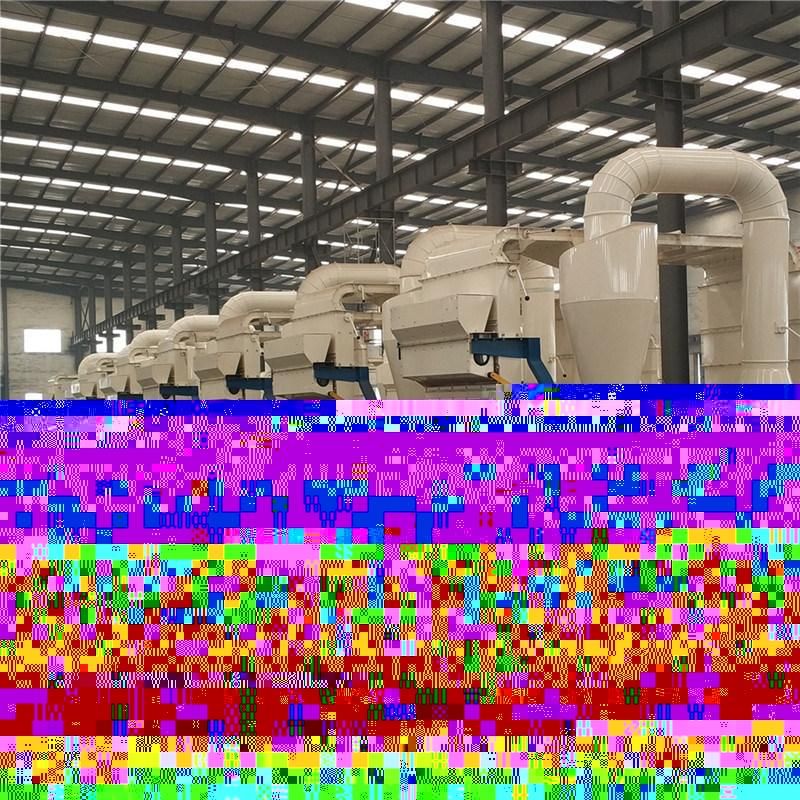 Grain Cleaning and Sorting Machine