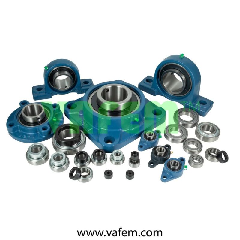 Agricultural Bearing 206krr6/ China Factory