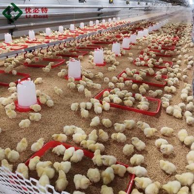 Broiler Chicken Farm Equipment for Poultry Shed
