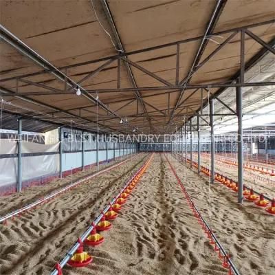 Prefab Steel Structure Automatic Chicken Poultry House