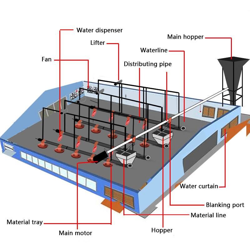 Fully Automatic Complete Chicken Broiler and Layer Farming Poultry Equipment