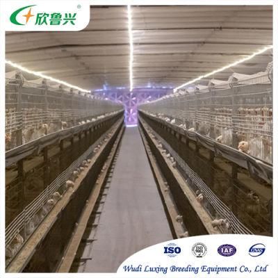 2-5 Tier Steel a Type Poultry Farming Equipment Chicken Coop for Sale