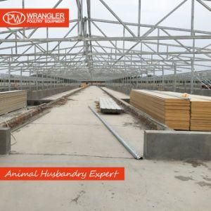 Steel Structure Poultry Farm Shed Chicken Poultry House
