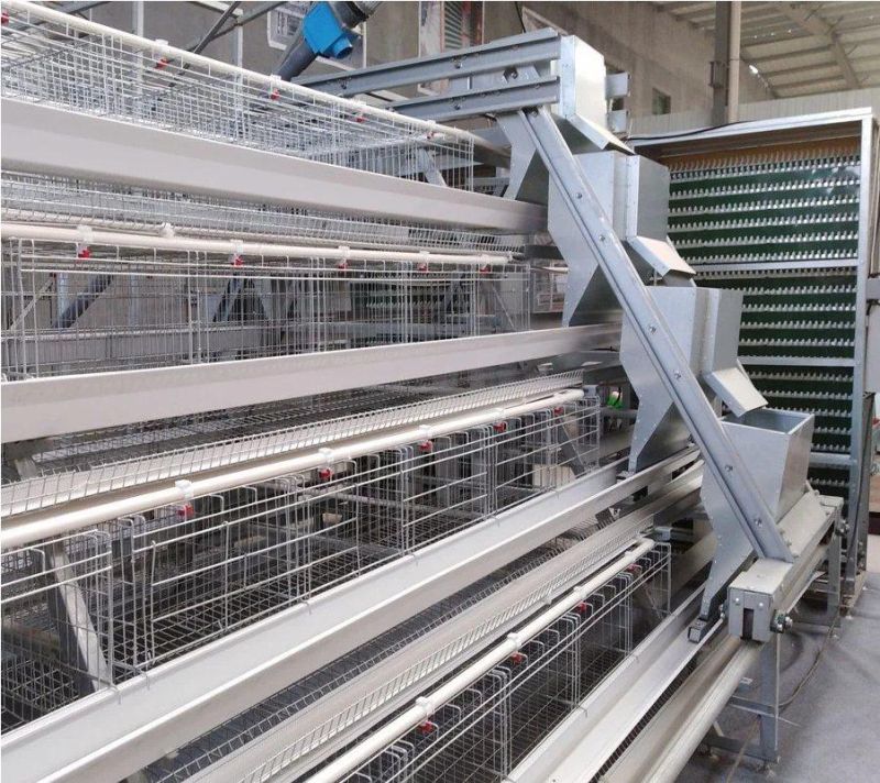 Poultry Farm Equipment for Layer Chciken / Poultry Farm Chicken Cages