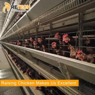 Modern Automatic Egg Chicken Layer Cage for 10000 Chicks