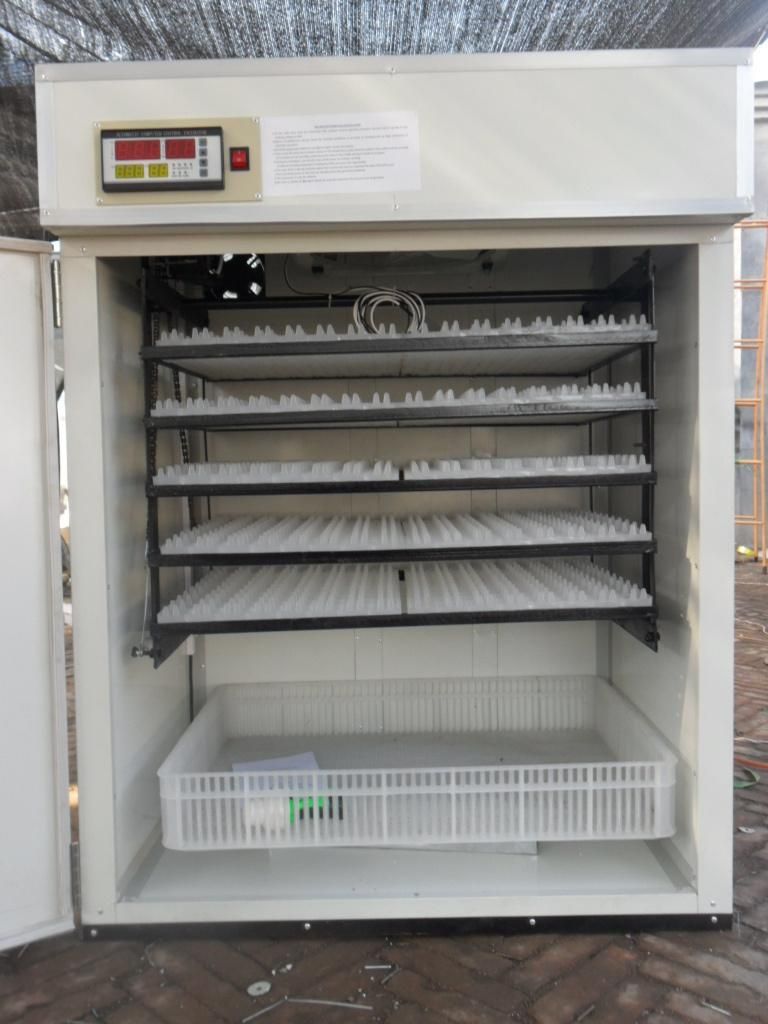 Automatic Chicken Egg Incubator Industrial Solar Incubators for Sale