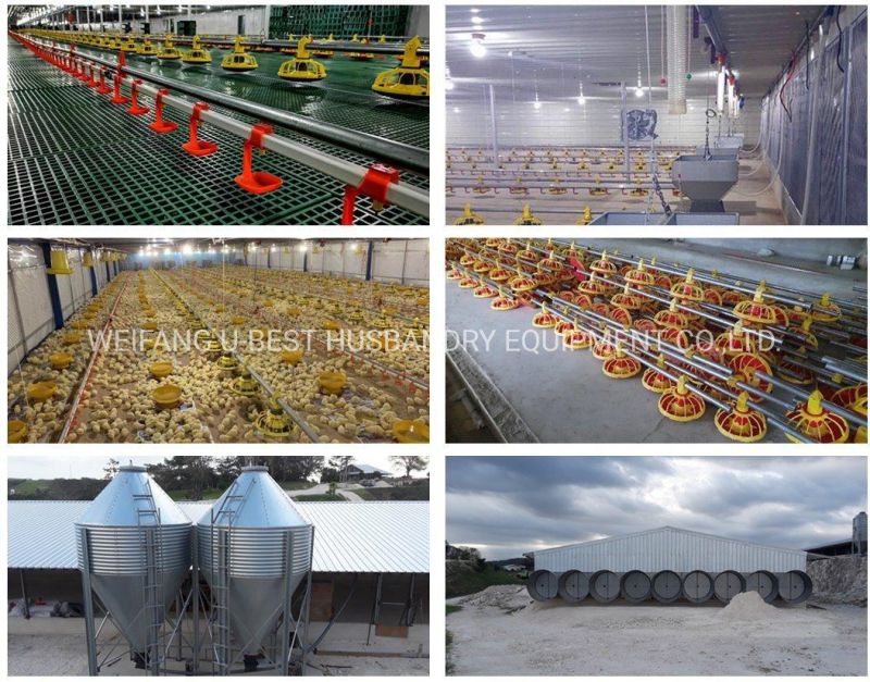 Full-Automatic Prefab Steel Poultry Farming Building for Broiler Breeder Chicken