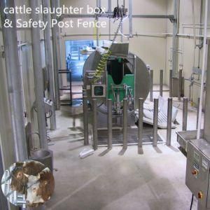 Ritual Cow Slaughter Line with Buffalo Butcher Abattoir Machinery