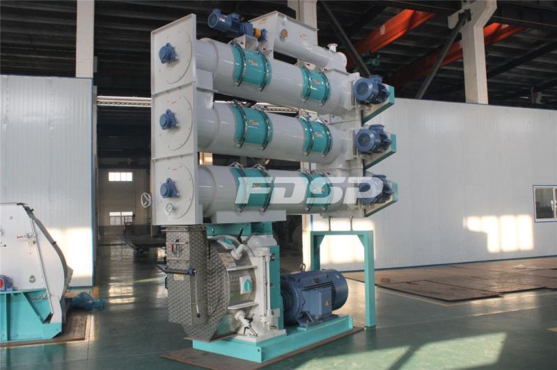 High Capacity CE ISO Approved Fish Feed Pellet Making Machine for Sale