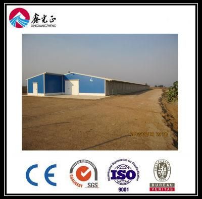 Breeder House/Poultry House Steel Structure House