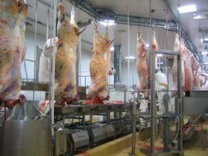 Cattle Slaughter Line with Slaughterhouse Waste Water Treatment for Halal Butcher Plant