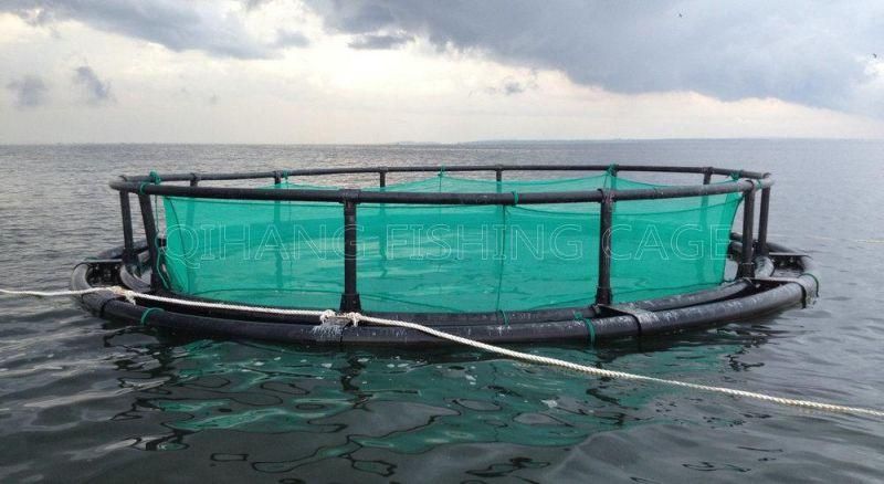 Deep Sea Fish Farming Cage