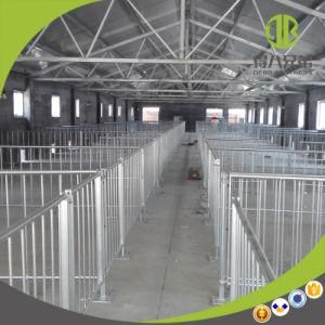 Hot DIP Galvanising Pig Farm Pig Fatten Stall