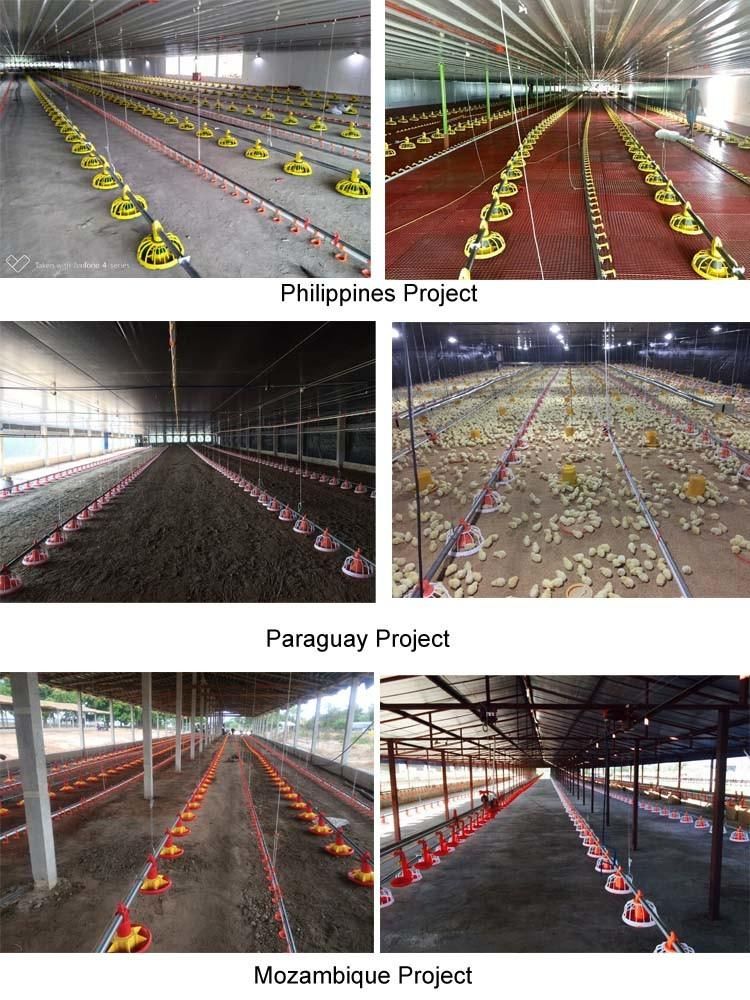 Complete Automatic Controlled Machinery Poultry Shed Farm Equipment for Chicken Broiler House