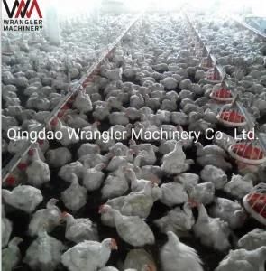Automatic Chicken Poultry Farming Equipment Germany for Broiler