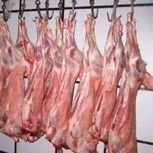 Halal Lamb Meat Process Abattoir with Effluent Machine
