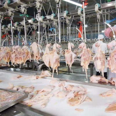 500bph Poultry Slaughtering Equipment Chicken Processing Line for Africa