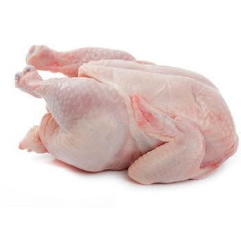 Slaughterhouse Equipment Tools Halal Abattoir Line Broiler Chicken Poultry Slaughter Machine