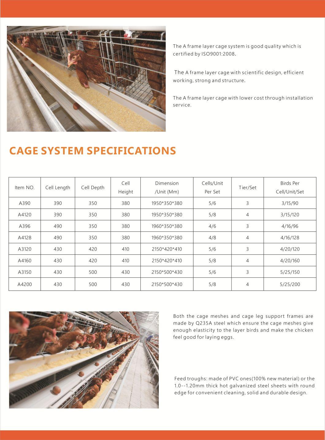 Automatic Chicken Poultry Layer Cage for Poultry Farming