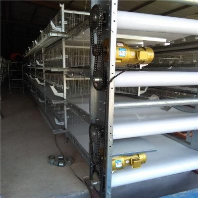 4 Tiers Layer Chicken Poultry Battery Cages for Nigerian Farm