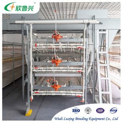 H Type Chicken Cages Layer Poultry Chicken Farming Equipment Price