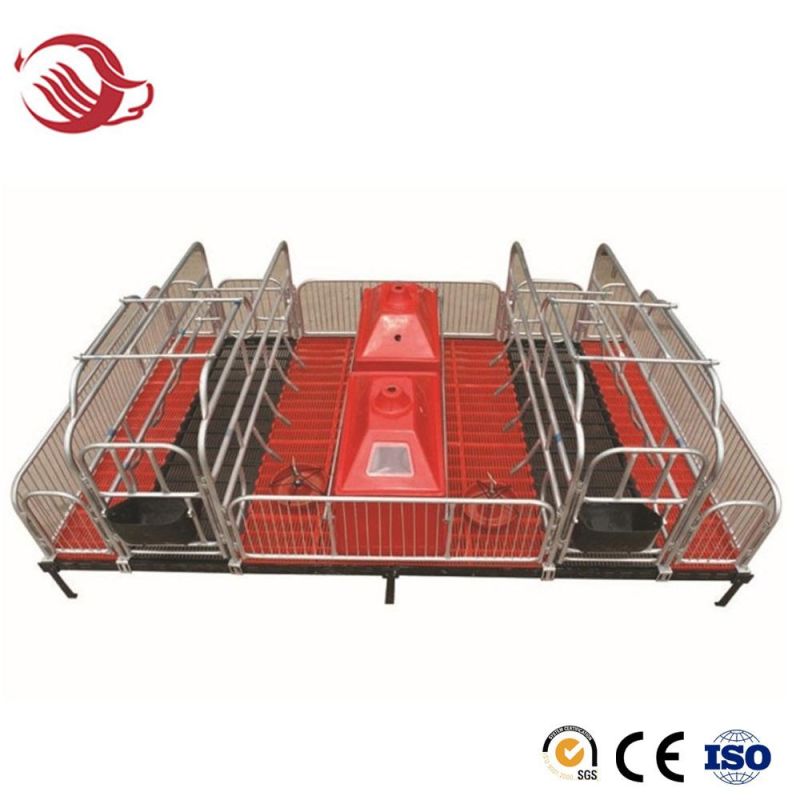 Pig Farming Farrowing Crates Hot DIP Galvanized Farrowing Pens