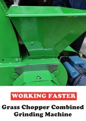 Animal Poultry Feeding Ensilage Straw Chopper Chaff Cutter Breeding Machine