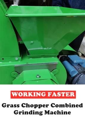Animal Poultry Feeding Ensilage Straw Chopper Chaff Cutter Breeding Machine