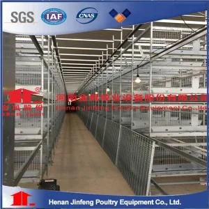 2019 Fully Automated Layer Chicken Cage with Automatic Machine System (H Frame)