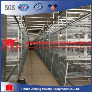 2019 Fully Automated Layer Chicken Cage with Automatic Machine System (H Frame)