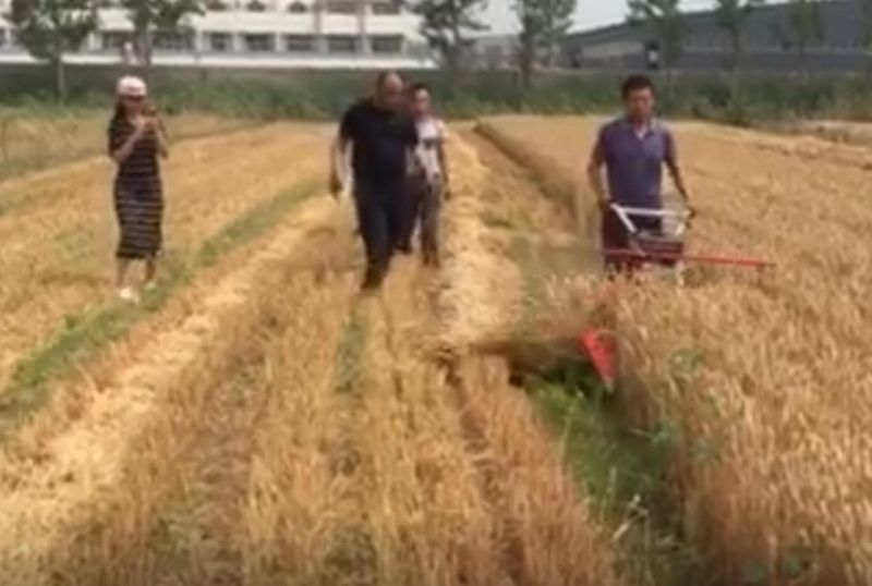 Agricultural Machinery Mini Combine Wheat Reaper Machine Rice Paddy Harvester for Sale