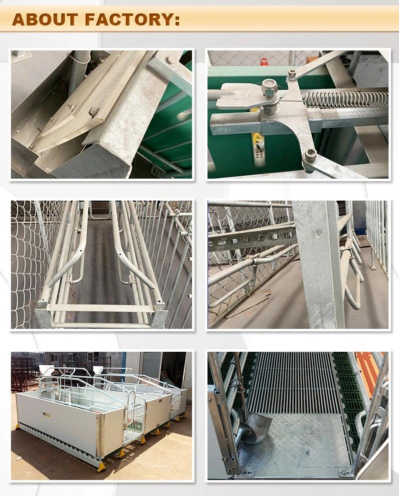 Galvanized Farming Equipment Pig Farrowing Crates/Pens for Sale