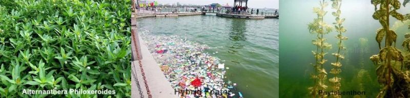 China Water Sea Weed Harvester Machine Clean Floating Garbage Boat Price