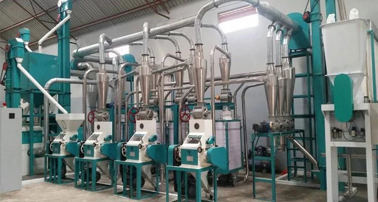Kenya Tanzania Maize Grits Maize Flour Milling Mill Making Machines