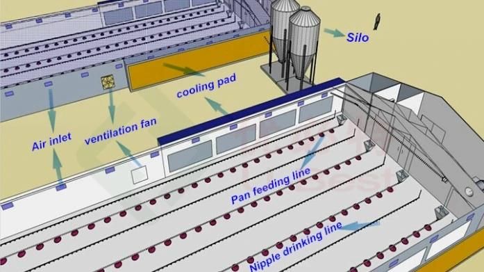 Commercial Poultry Equipment Broiler Breeder House Design