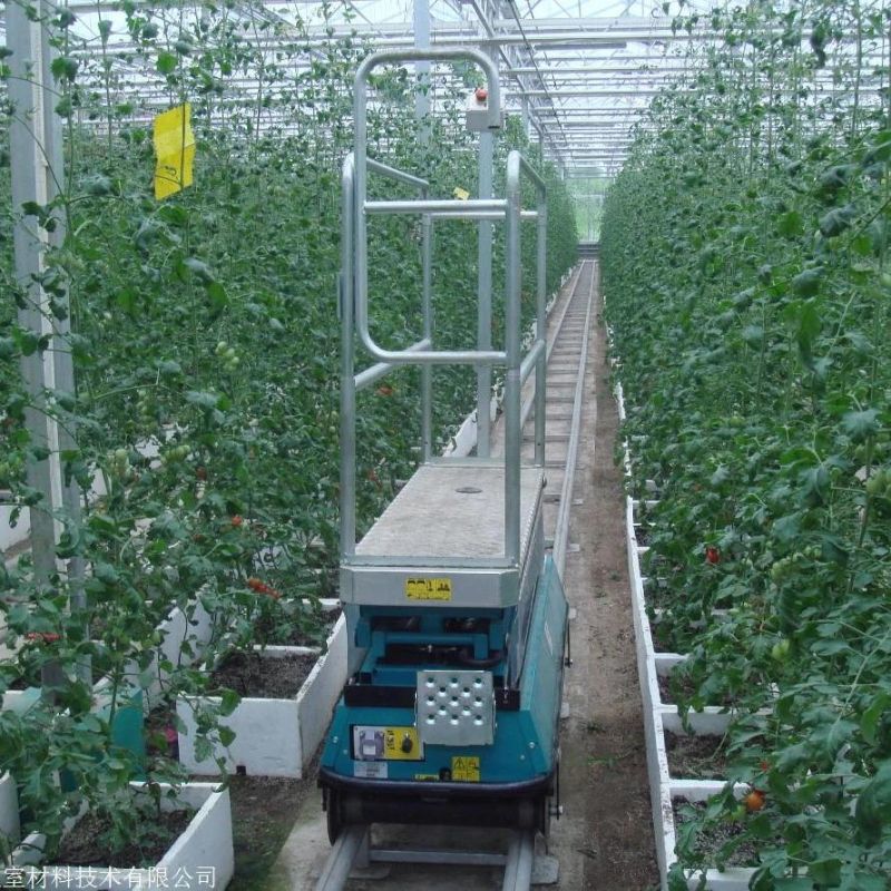 Aerial Platform Self-Propelled Movable Scissor Lift Table Hydraulic Elevator Auto Lift Trolley for Greenhouse Cucumber/Tomato Harvesting/Picking