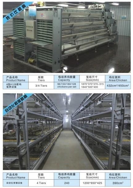 Automatic Chicken Equipment H Type Layer Cage