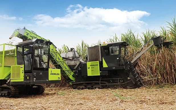 Zoomlion Wheeled Sugarcane Harvester for Sale